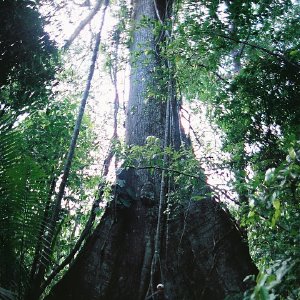 /Albums/10/107841 R1 00 34