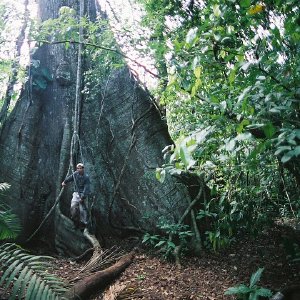 /Albums/10/107841 R1 01 33