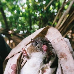 /Albums/10/107841 R1 02 32