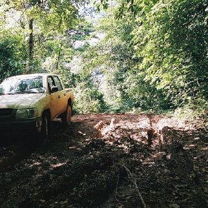 /Albums/10/107841 R1 10 24