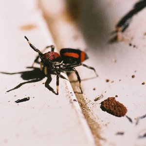 /Albums/10/107841 R1 12 22