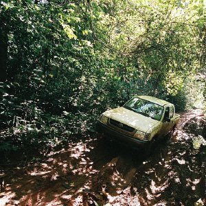 /Albums/10/107841 R1 15 19