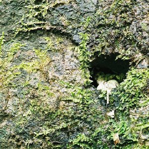 /Albums/10/107841 R1 19 15