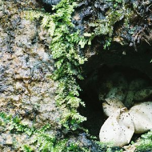 /Albums/10/107841 R1 21 13