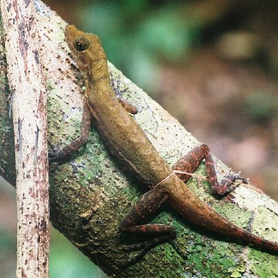 Jason's Trips - Album 3