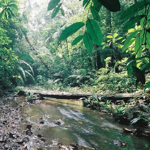 /Albums/10/43581 R1 00 1 001