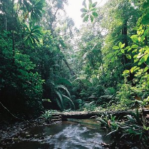 /Albums/10/43581 R1 01 2 002