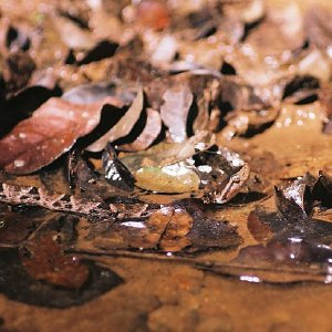 /Albums/10/43581 R1 03 4 004