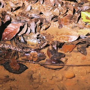 /Albums/10/43581 R1 04 5 005