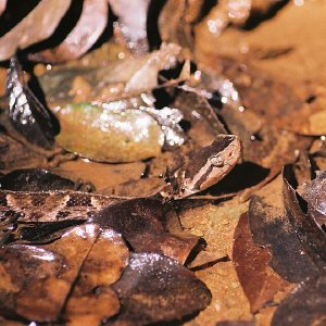 /Albums/10/43581 R1 05 6 006