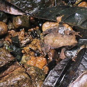 /Albums/10/43581 R1 10 11 011