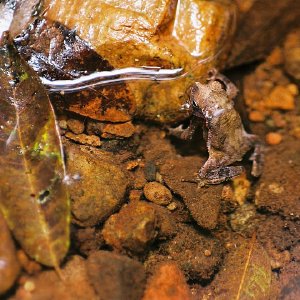 /Albums/10/43581 R1 12 13 013