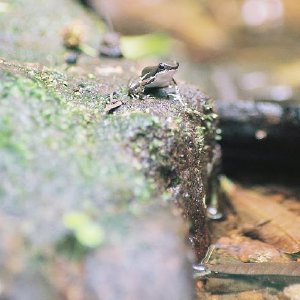 /Albums/10/43581 R1 13 14 014