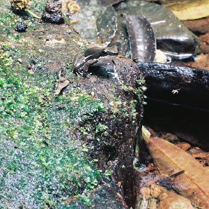 /Albums/10/43581 R1 15 16 016