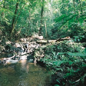 /Albums/10/43581 R1 16 17 017