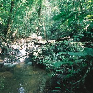 /Albums/10/43581 R1 18 19 019