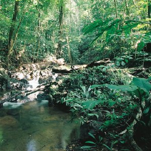 /Albums/10/43581 R1 20 21 021