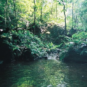 /Albums/10/43581 R1 22 23 023