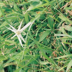 /Albums/10/43581 R1 25 26 026