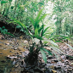 /Albums/10/43581 R1 28 29 029