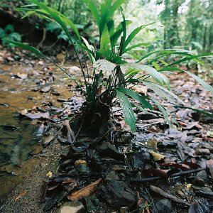 /Albums/10/43581 R1 29 30 030