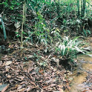 /Albums/10/43581 R1 31 32 032