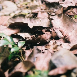 /Albums/10/449951 R1 30 6a 031