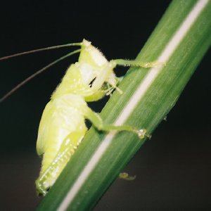 /Albums/10/449951 R1 36 0a 037