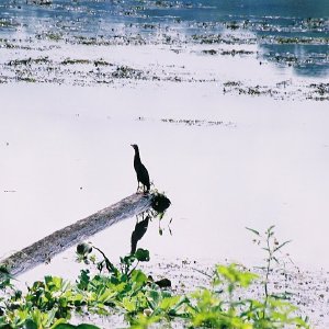 /Albums/11/107574 R1 01 2