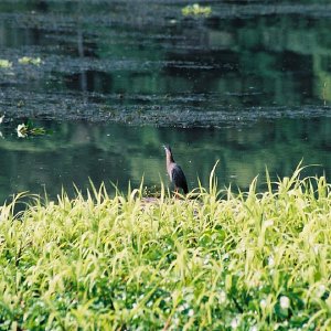 /Albums/11/107574 R1 02 3