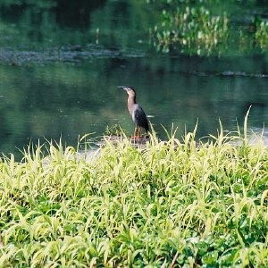 /Albums/11/107574 R1 03 4