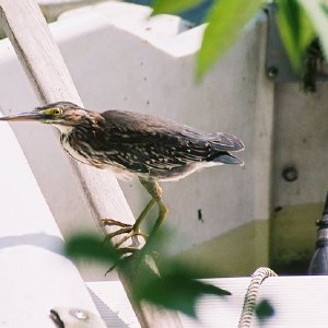 /Albums/11/107574 R1 06 7