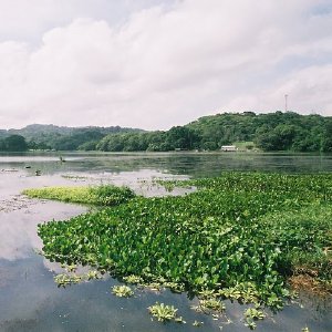 /Albums/11/107574 R1 13 14