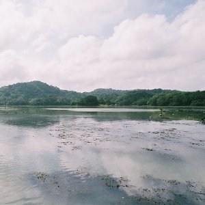 /Albums/11/107574 R1 14 15