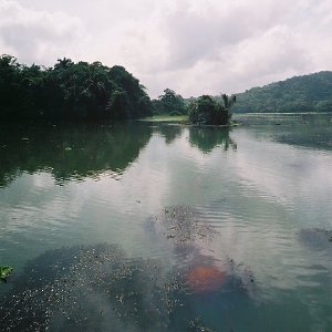 /Albums/11/107574 R1 15 16