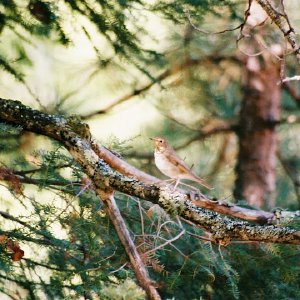 /Albums/11/107840 R1 04 4a