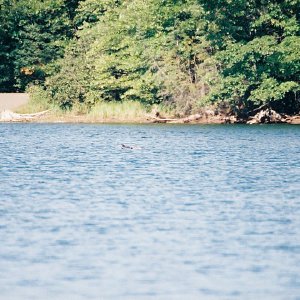 /Albums/11/107840 R1 08 8a