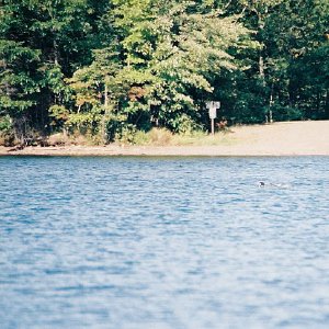 /Albums/11/107840 R1 09 9a