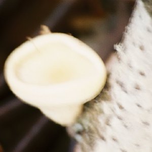 /Albums/11/107840 R1 12 12a