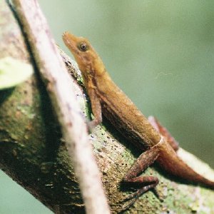 /Albums/11/107841 R1 24 10