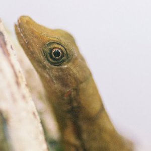 /Albums/11/107841 R1 25 9