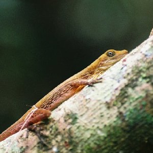 /Albums/11/107841 R1 27 7