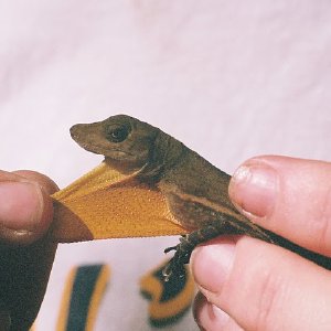 /Albums/11/107841 R1 31 3