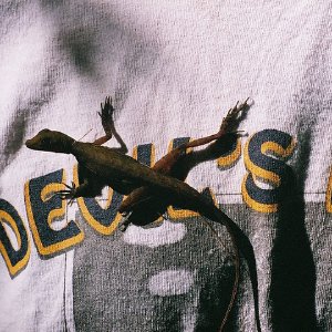 /Albums/11/107841 R1 32 2