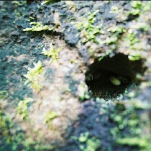 /Albums/11/43579 R1 06 26a