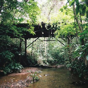 /Albums/11/43579 R1 09 23a