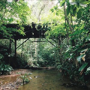 /Albums/11/43579 R1 10 22a