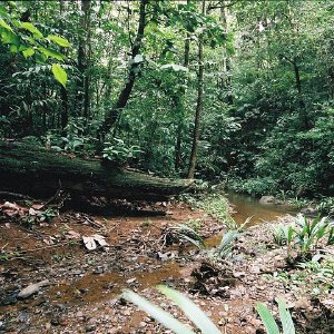 /Albums/11/43579 R1 11 21a