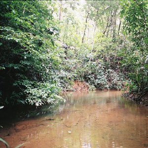 /Albums/11/43579 R1 13 19a