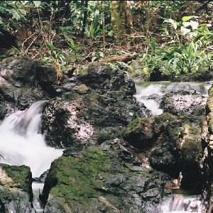 /Albums/11/43579 R1 15 17a